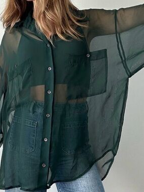 The Limited Sheer Dark Green Button-Up Blouse